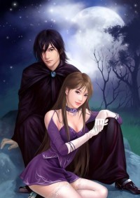 我的老婆是郡主