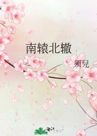 南轅北轍